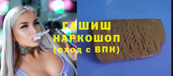 индика Вяземский
