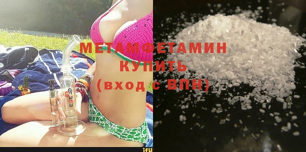 индика Вяземский