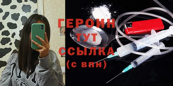 индика Вяземский