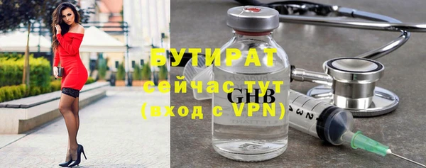 индика Вяземский