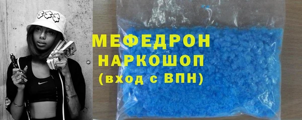 индика Вяземский