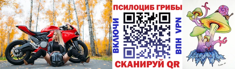 Галлюциногенные грибы Psilocybine cubensis  Козьмодемьянск 